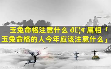 玉兔命格注意什么 🦢 属相「玉兔命格的人今年应该注意什么」